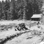 carol-clark-trenching carol-clark-trenching