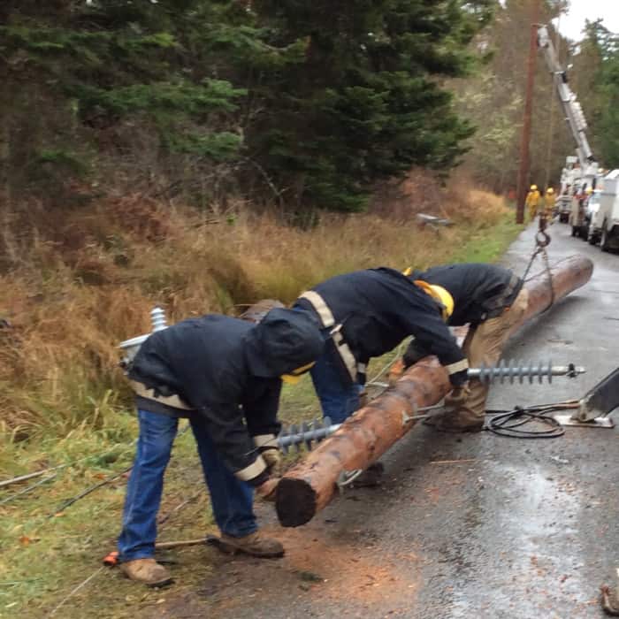 photo of Crews Prepping poles on Shaw Island 2015