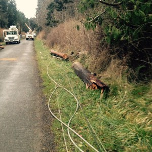 broken pole and line