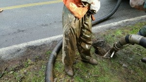 closeup photo of Vacuum Excavation along Olga Road