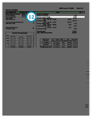 Service Access Charge