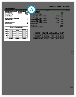 Your Meter Information