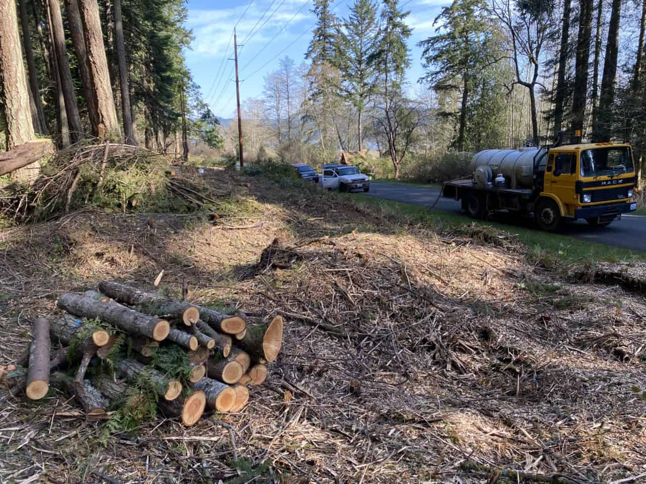 line clearing Shaw Island