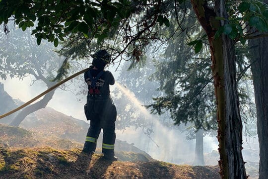 orcas de incendios forestales