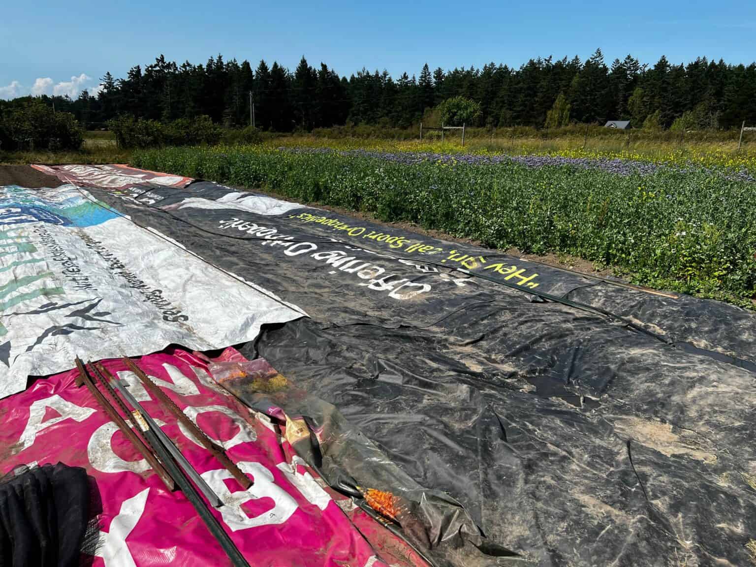 Cultivating Efficiency on the Farm for a More Affordable Future OPALCO