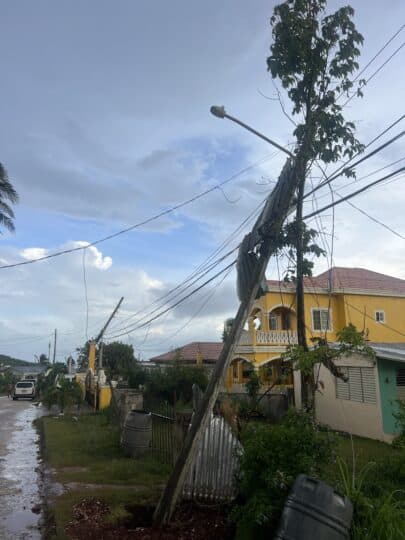 tree leaning in pole