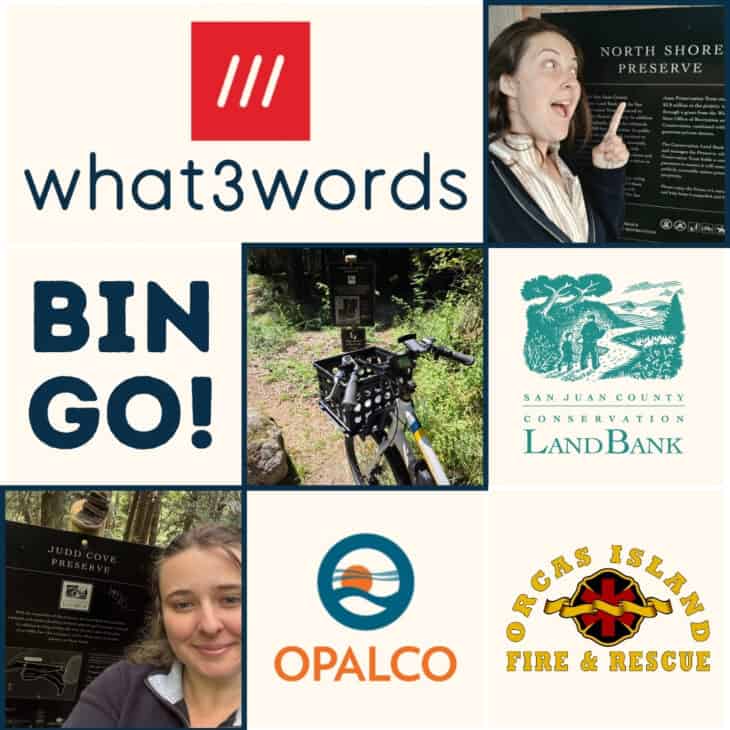 what3words bingo