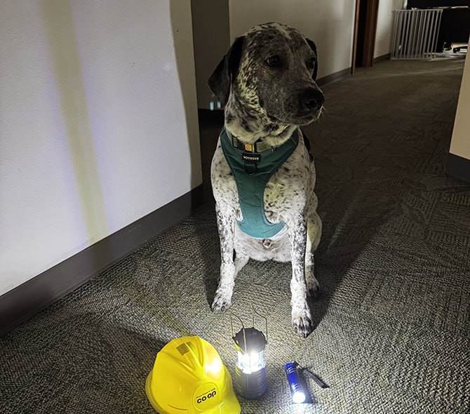 pepper outage